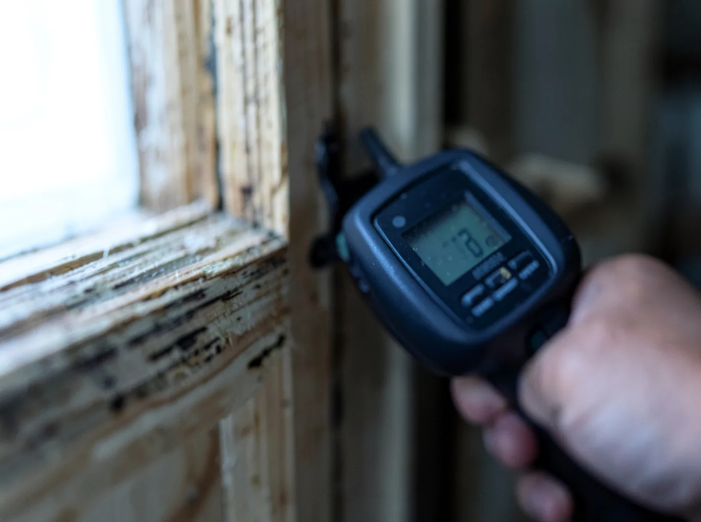 Moisture Inspection And Documentation in Essex, MA